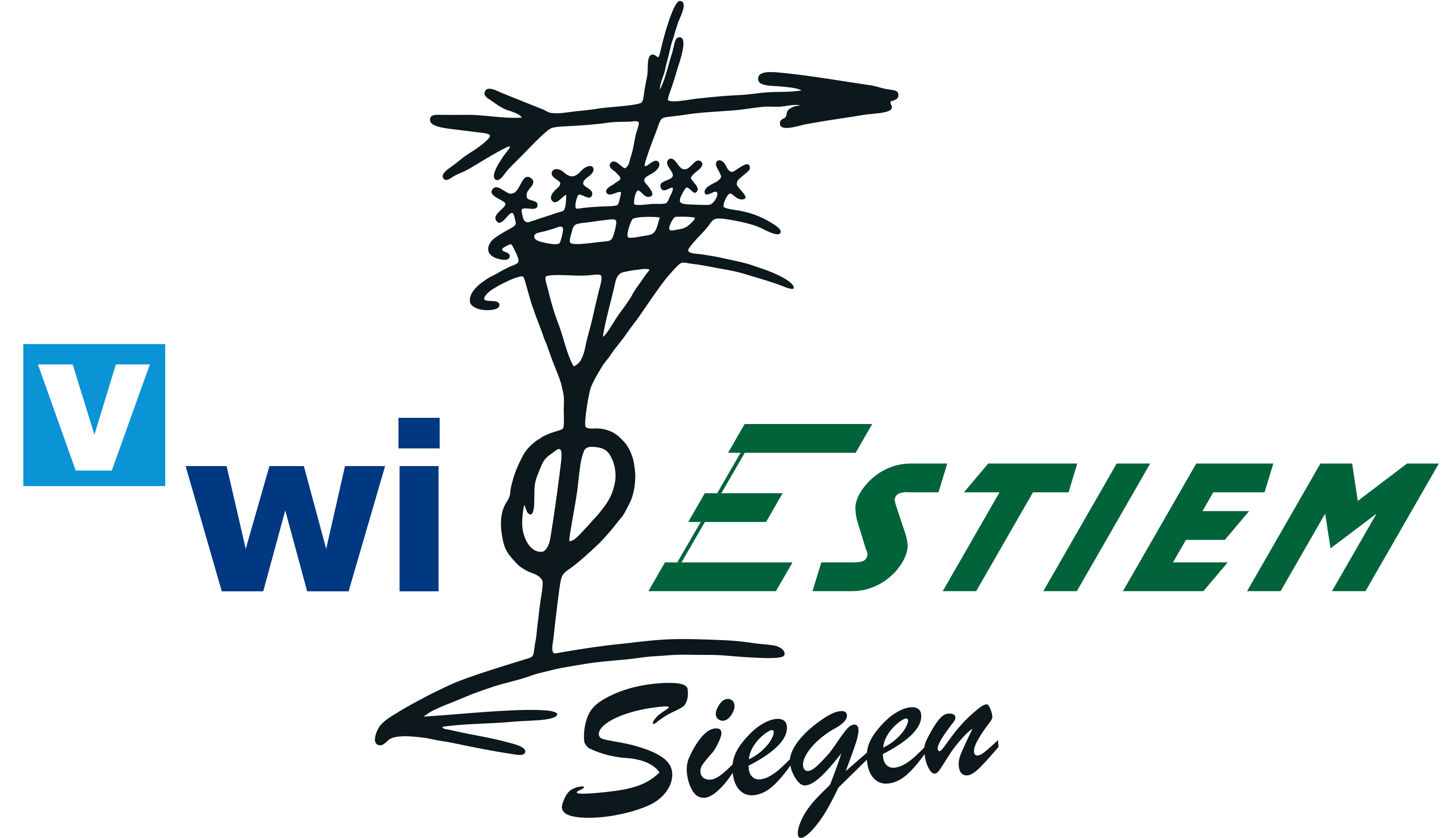VWI-ESTIEM Siegen e.V. Logo